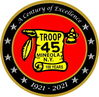 Troop 45 100th logo
